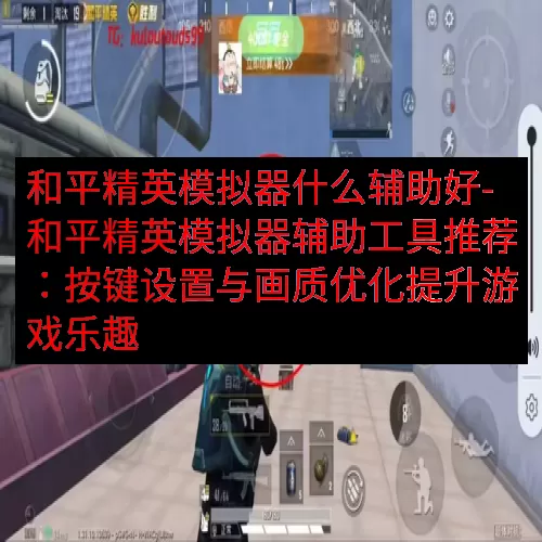 和平精英模拟器什么辅助好-和平精英模拟器辅助工具推荐：按键设