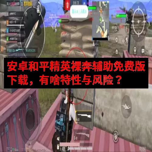 安卓和平精英裸奔辅助免费版下载，有啥特性与风险？